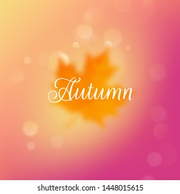 Autumn sale background layout in frame from leaves. Shopping sale or promo poster and frame leaflet or web banner. EPS 10