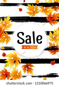 Autumn sale background layout with leaves for shopping sale, promo poster and frame leaflet, web banner. Vector illustration template. Fall offer ad design concept, fall sales advert announcement. 