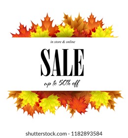 Autumn sale background with leafs