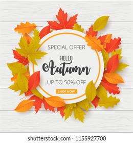 Autumn sale background with leaves. Can be used for shopping sale, promo poster, banner, flyer, invitation, website or greeting card. Vector illustration