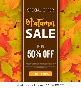 Autumn sale background with leaves. Can be used for shopping sale, promo poster, banner, flyer, invitation, website or greeting card. Vector illustration