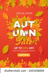 Autumn sale background with leaves. Can be used for shopping sale, promo poster, banner, flyer, invitation, website or greeting card. Vector illustration