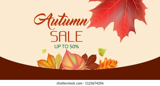 Autumn sale background leaves. Flyer template with autumn sale background leaves for promotion design. Autumn season. Spring season sale offer, banner template.