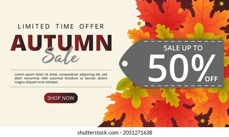 Autumn sale background with leaves and price tag