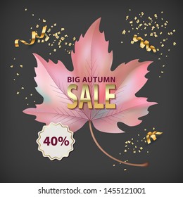 Autumn sale background with maple leaf. Vector illustrations