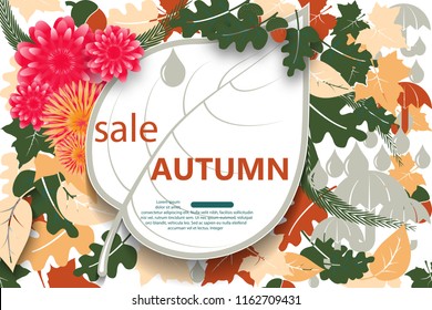 Autumn sale background with paper leaf. Flowers Acorns maple and oak leaves on white. Design for fall season banner poster or thanksgiving day greeting card or festival invitation. Vector illustration