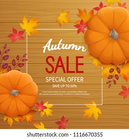 Autumn sale background in a rectangular frame with pumpkin, leaves on a wooden table. Discount, sale in autumn. Special seasonal offer banner. Template Vector.