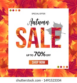 Autumn sale background for shopping sale