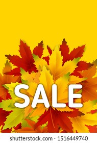 Autumn Sale Background Template, with falling bunch of leaves, shopping sale or seasonal poster for shopping discount promotion, Postcard and Invitation card. Vector illustration Voucher, Banner