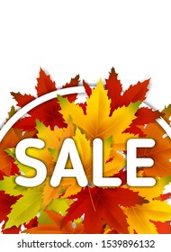 Autumn Sale Background Template, with falling bunch of leaves, shopping sale or seasonal poster for shopping discount promotion, Postcard and Invitation card. Vector illustration Voucher, Banner
