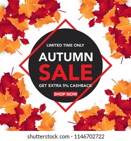 Autumn sale background template with leaves, fall leaves for shopping sale. banner design. Poster, card, label, web banner. Vector illustration