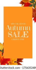 Autumn Sale Background Template with leaves. Special offer. Limited Time. Vector Illustration EPS10