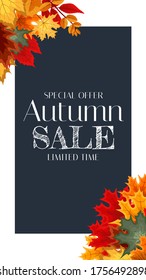 Autumn Sale Background Template with leaves. Special offer. Limited Time. Vector Illustration EPS10