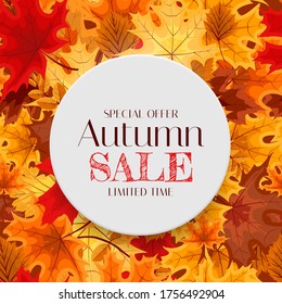 Autumn Sale Background Template with leaves. Special offer. Limited Time. Vector Illustration EPS10