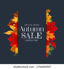 Autumn Sale Background Template with leaves. Special offer. Limited Time. Vector Illustration EPS10