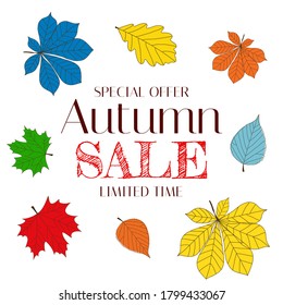 Autumn Sale Background Template with leaves. Special offer. Limited Time. Vector Illustration EPS10