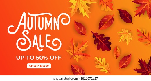 Autumn sale background vector with decorative leaves. Autumn Sale Vector background Illustration. Abstract Autumn Sale background design template for advertising, flyer, web banner, poster, brochure