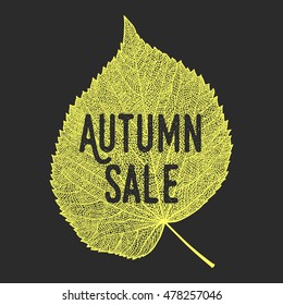 Autumn sale background with vector skeletonized leaf.