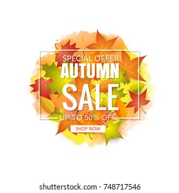 Autumn Sale Background.vector illustration