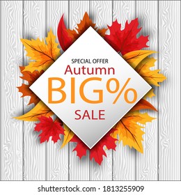 Autumn sale badge offer on diamond frame of leaves. autumn sales and discounts background