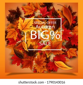 Autumn sale badge. autumn sales and discounts