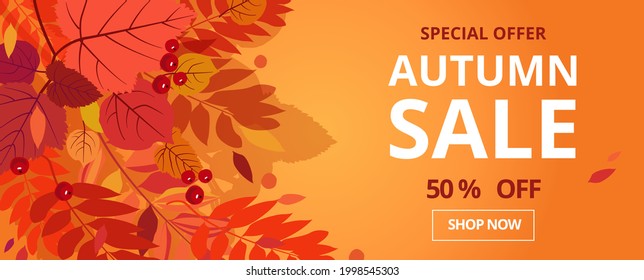 Autumn sale. Banner for 50% Promotion Autumn Discount. Vector falling leaves. For discount  booklet or web banner