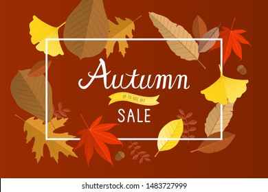 Autumn sale banner background with fall leaves.