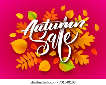 Autumn sale banner background with fall leaves. Vector illustration