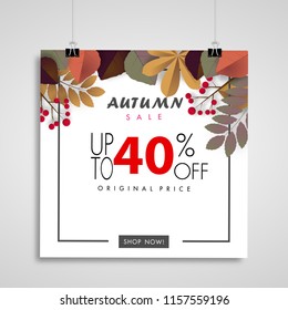 autumn sale banner background ,forty percent sale off with colorful leaf on paper billboards vector or illustration