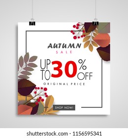 autumn sale banner background ,thirty percent sale off with colorful leaf on paper billboards vector or illustration