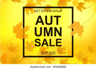 Autumn sale banner, beautiful yellow falling leaves.