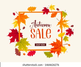 Autumn sale banner with bright colorful leaves. Autumn foliage vector illustration. Fall discount poster design. Square frame composition.