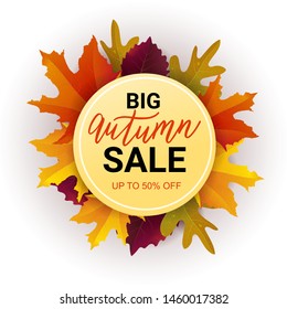 Autumn Sale banner with bright leaves. Hand lettering text. Season vacation, weekend, holiday logo. Great for cards, brochure, flyer, advertising  poster template. Vector illustration.