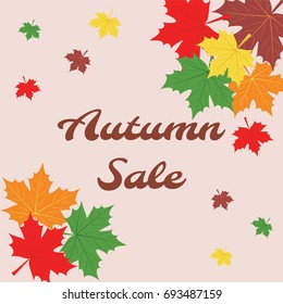 Autumn sale banner. Brightly colored maple leaves.