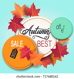 Autumn sale banner with colorful bright maple fall leaves. Vector illustration with discount tags circles background