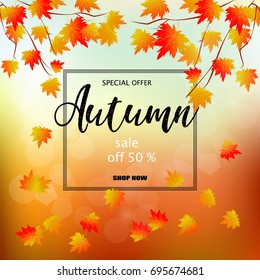 Autumn sale banner with colorful fall leaves. Vector illustration of discount tags on the blue sky background