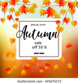 Autumn sale banner with colorful fall leaves. Vector illustration of discount tags on the blue sky background