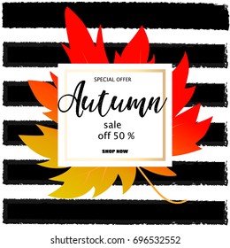 Autumn sale banner with colorful fall leaves. Vector illustration of discount tags on the blue sky background