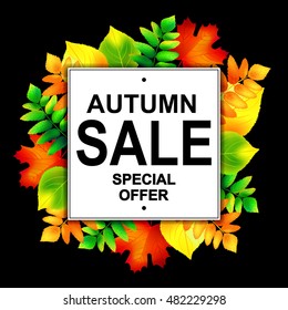 Autumn sale banner with colorful autumn leafs. Vector illustration.