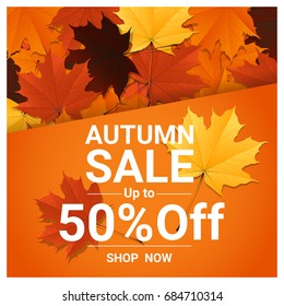 Autumn sale banner with colorful leaves , vector , illustration