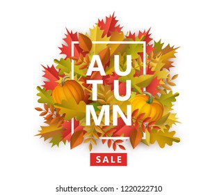 Autumn sale banner with colorful tree leaves and ripe orange pumpkins in cartoon style. Seasonal decorative elements with sign in frame isolated on white background, vector illustration.