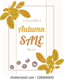 Autumn sale banner with colorful walnut leaves.