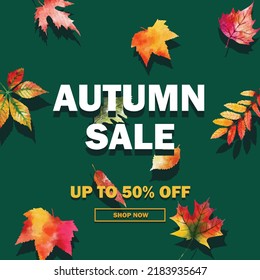 Autumn sale banner with colorful watercolor leaves. Banner for social media posts, posters, and templates.