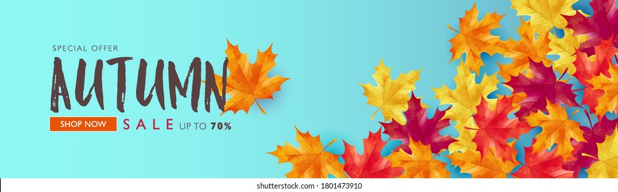 Autumn sale banner decorates with maple leaves on light blue background. Vector illustration template.