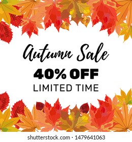 Autumn sale banner design with discount text label and colorful fall leaves for seasonal shopping promotion. Vector illustration.