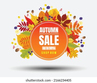 Autumn sale banner with fall leaves behide.Promotion poster.Social media post.Vector illustration.