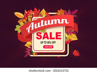 Autumn sale banner with fallen leaves. 