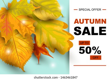 Autumn sale banner with falling leaves. Place for text. Template for fall festival, poster, web, invitation, flyer, thanksgiving. Vector illustration