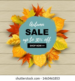 Autumn sale banner with falling leaves. Place for text. Template for fall festival, poster, web, invitation, flyer, thanksgiving. Vector illustration