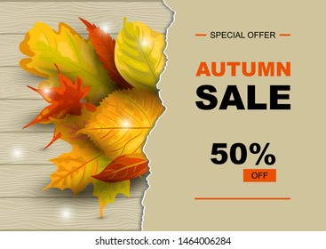 Autumn sale banner with falling leaves. Place for text. Template for fall festival, poster, web, invitation, flyer, thanksgiving. Vector illustration